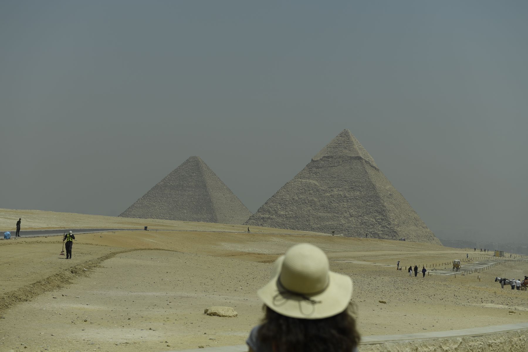 DSC4560 - ©copyright Marco Giardini