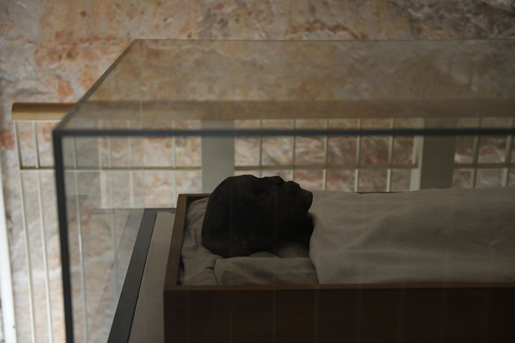 DSC4668 - ©copyright Marco Giardini