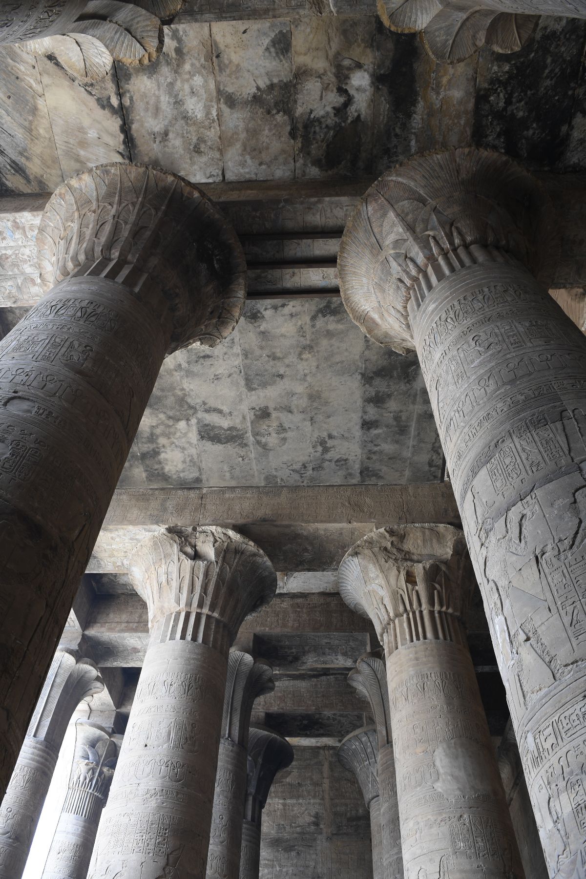 ©copyright Marco Giardini