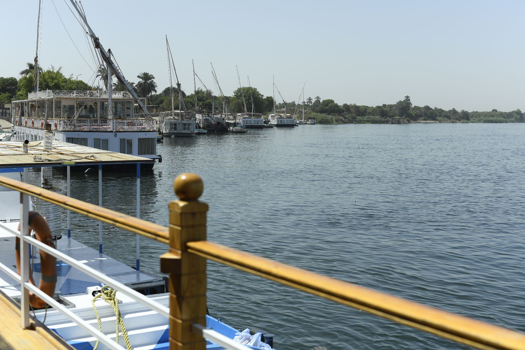 DSC4799 - ©copyright Marco Giardini