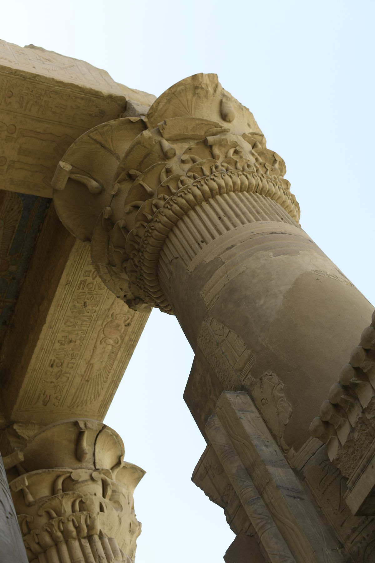 ©copyright Marco Giardini