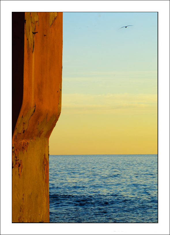 ©copyright Marco Giardini