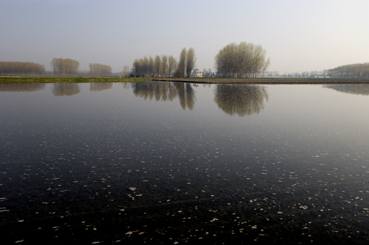 ©copyright Marco Giardini