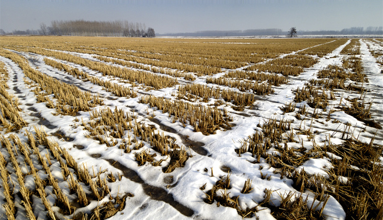 ©copyright Marco Giardini