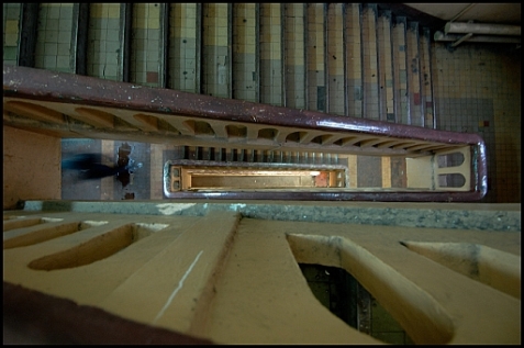 ©copyright Marco Giardini