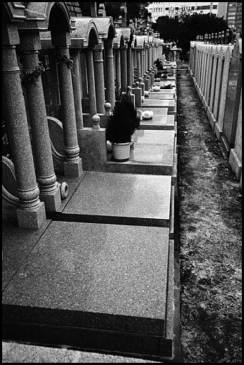 ©copyright Marco Giardini