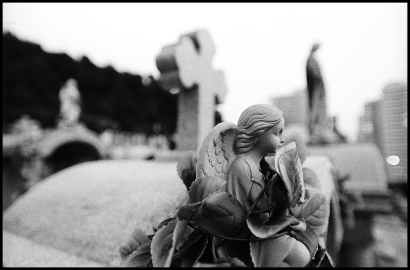 ©copyright Marco Giardini