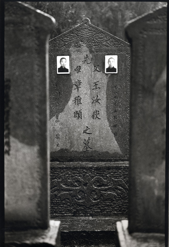 ©copyright Marco Giardini