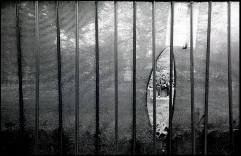 ©copyright Marco Giardini